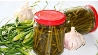 Маринованные чесночные стрелки в уксусе на зиму