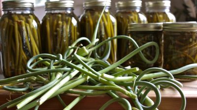 Маринованные стрелки чеснока с яблочным соком без уксуса