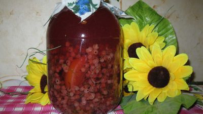 Консервированный компот из смородины и апельсинов