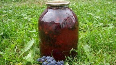 Виноградный компот на зиму из изабеллы