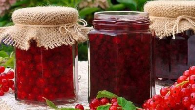 Классическая пятиминутка из красной смородины