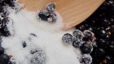Протертая черная смородина без варки на зиму