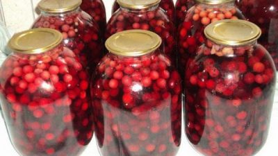 Компот из клубники и вишни без сахара