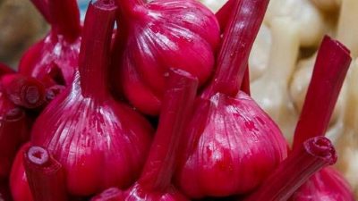 Маринованный чеснок со свеклой и укропом