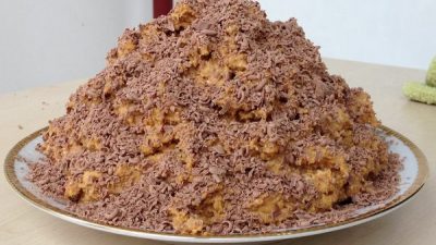 Торт из печенья со сгущенкой без выпечки - 28 рецептов с фото