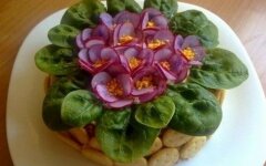 Праздничный салат «Фиалки»