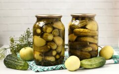 Огурцы с кислыми яблоками на зиму
