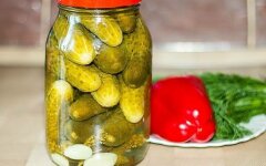 Классические сладкие маринованные огурцы