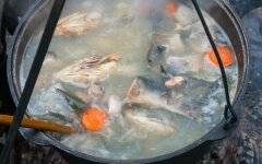 Уха белая с зеленью на костре