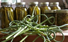 Маринованные стрелки чеснока с яблочным соком без уксуса