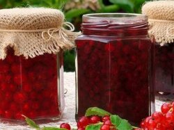Классическая пятиминутка из красной смородины