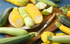 Кабачки закусочные с морковью