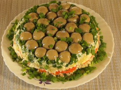 Салат Грибная поляна с шампиньонами и отварной курицей