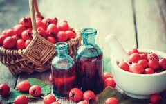 Компот из шиповника с черникой для детей