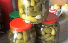 Хрустящие маринованные корнишоны по-домашнему