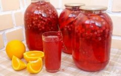 Компот из красной смородины с дольками апельсина