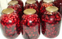 Компот из клубники и вишни без сахара