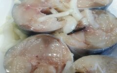 Скумбрия малосольная домашняя за 2 часа