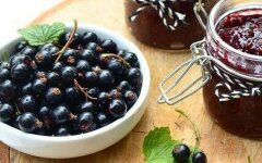 Джем из черной смородины с крыжовником через мясорубку