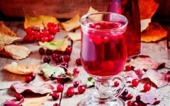 Клюквенный морс с апельсинами и имбирем