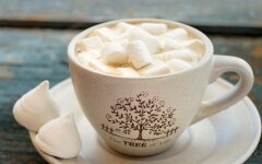 Какао с взбитыми сливками и «Маршмеллоу»