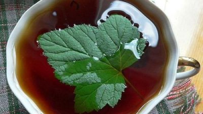 Чай татарский со смородиной и медом