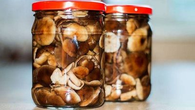 Простой и вкусный рецепт маринованных опят на зиму