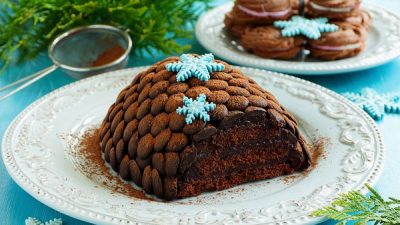 Торт «Еловая шишка» с шоколадом